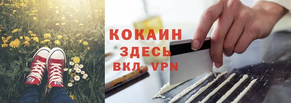 шишки Волоколамск