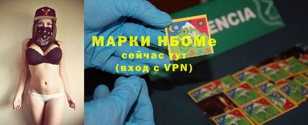 прущий лед Вязьма