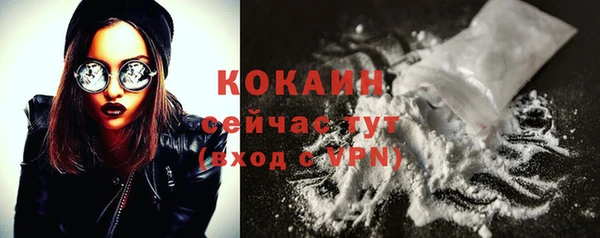 стаф Вязники