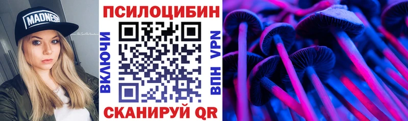 Купить  Нерюнгри  Галлюциногенные грибы мицелий 